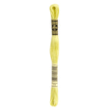 DMC Stranded Cotton Embroidery Thread 11