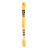 DMC Stranded Cotton Embroidery Thread