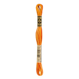 DMC Stranded Cotton Embroidery Thread 51