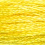 DMC Stranded Cotton Embroidery Thread