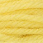 Anchor Tapestry Wool Colour Code 08092