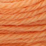 Anchor Tapestry Wool Colour Code 09554