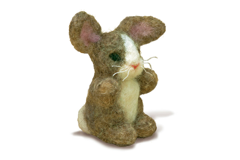 Needle Felting Kit: Bunny